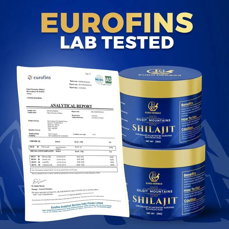 Gilgat Mountains Shilajit - Euro Herbax
