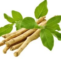 best musli herbal